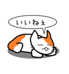 ここねこ命（個別スタンプ：8）