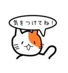 ここねこ命（個別スタンプ：17）