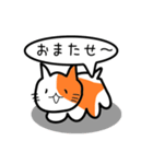 ここねこ命（個別スタンプ：19）