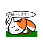 ここねこ命（個別スタンプ：25）