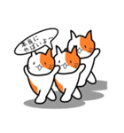 ここねこ命（個別スタンプ：37）