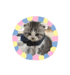 にゃんこぱらだいす（個別スタンプ：3）