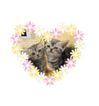 にゃんこぱらだいす（個別スタンプ：32）