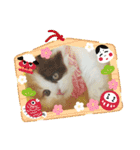 にゃんこぱらだいす（個別スタンプ：38）