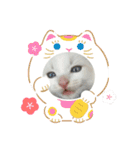 にゃんこぱらだいす（個別スタンプ：39）