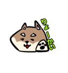コウタとお散歩【日常編】（個別スタンプ：2）