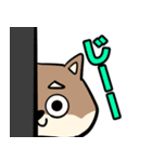 コウタとお散歩【日常編】（個別スタンプ：15）