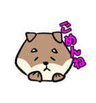 コウタとお散歩【日常編】（個別スタンプ：17）
