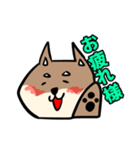 コウタとお散歩【日常編】（個別スタンプ：18）