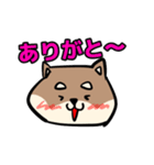 コウタとお散歩【日常編】（個別スタンプ：22）