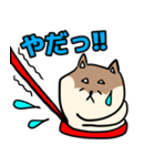 コウタとお散歩【日常編】（個別スタンプ：25）