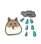 コウタとお散歩【日常編】（個別スタンプ：29）
