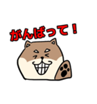 コウタとお散歩【日常編】（個別スタンプ：33）
