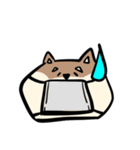 コウタとお散歩【日常編】（個別スタンプ：36）