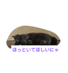 ぶりぶりブリティッシュ（個別スタンプ：6）