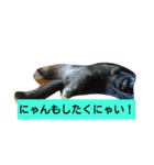 ぶりぶりブリティッシュ（個別スタンプ：15）