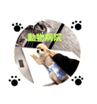 サムライくん 1（個別スタンプ：5）