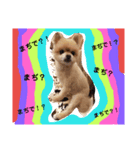 サムライくん 1（個別スタンプ：6）
