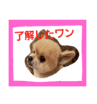 サムライくん 1（個別スタンプ：7）