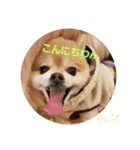 サムライくん 1（個別スタンプ：8）