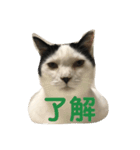 あたちよ ナヴィよ4（個別スタンプ：1）