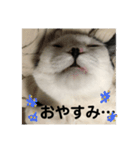 あたちよ ナヴィよ4（個別スタンプ：7）