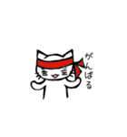 白猫ふみちゃん（個別スタンプ：19）