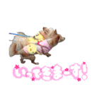 可愛い愛犬スタンプ！冬用 日常会話（個別スタンプ：3）