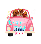 可愛い愛犬スタンプ！冬用 日常会話（個別スタンプ：5）