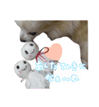 可愛い愛犬スタンプ！冬用 日常会話（個別スタンプ：10）