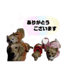 可愛い愛犬スタンプ！冬用 日常会話（個別スタンプ：18）