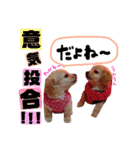 可愛い愛犬スタンプ！冬用 日常会話（個別スタンプ：25）