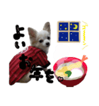 可愛い愛犬スタンプ！冬用 日常会話（個別スタンプ：38）