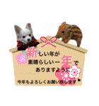 可愛い愛犬スタンプ！冬用 日常会話（個別スタンプ：40）