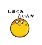 ごまあぶらくん（個別スタンプ：16）