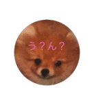 きずな のスタンプ（個別スタンプ：4）