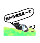 白猫アーサー（個別スタンプ：15）
