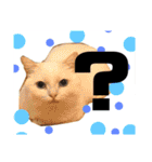 白猫アーサー（個別スタンプ：16）
