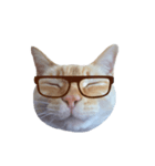 白桃猫猫・シロ（個別スタンプ：8）