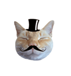 白桃猫猫・シロ（個別スタンプ：9）