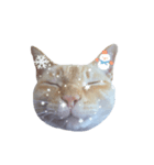白桃猫猫・シロ（個別スタンプ：10）