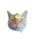 白桃猫猫・シロ（個別スタンプ：15）