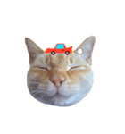 白桃猫猫・シロ（個別スタンプ：16）