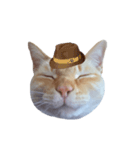 白桃猫猫・シロ（個別スタンプ：18）