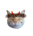 白桃猫猫・シロ（個別スタンプ：25）