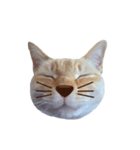 白桃猫猫・シロ（個別スタンプ：28）
