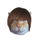 白桃猫猫・シロ（個別スタンプ：29）
