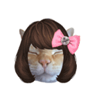 白桃猫猫・シロ（個別スタンプ：30）