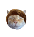 白桃猫猫・シロ（個別スタンプ：31）