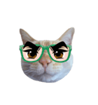 白桃猫猫・シロ（個別スタンプ：32）